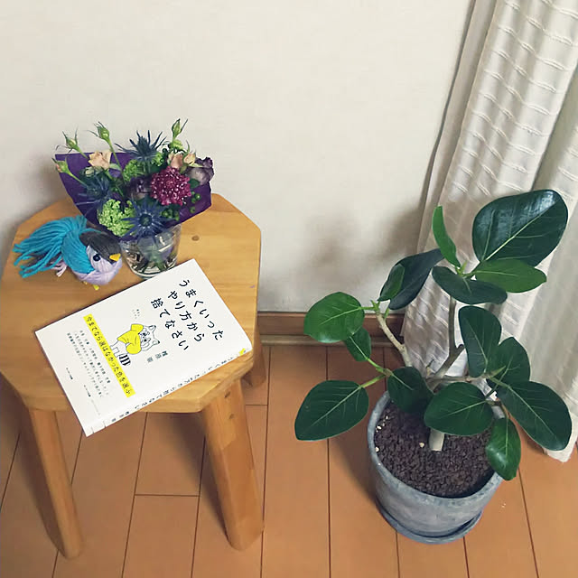 リビング/観葉植物のインテリア実例 - 2018-09-20 20:01:20