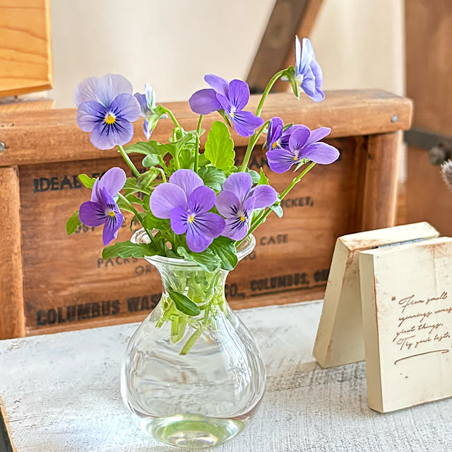 yukkoさんの実例写真