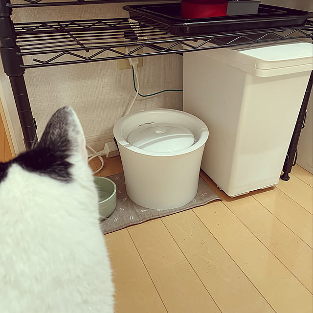 nicoさんの実例写真
