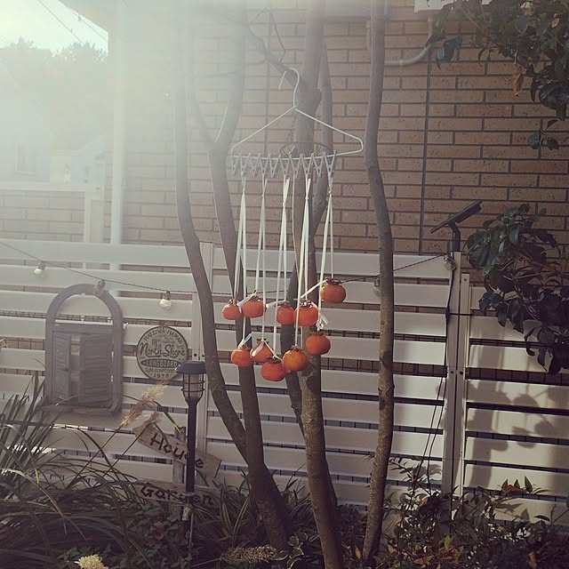 kana_ciiさんの実例写真
