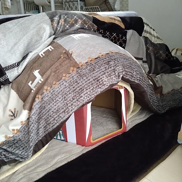 koromaroさんの部屋