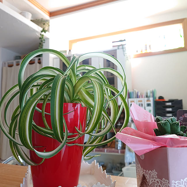 favori...さんの実例写真