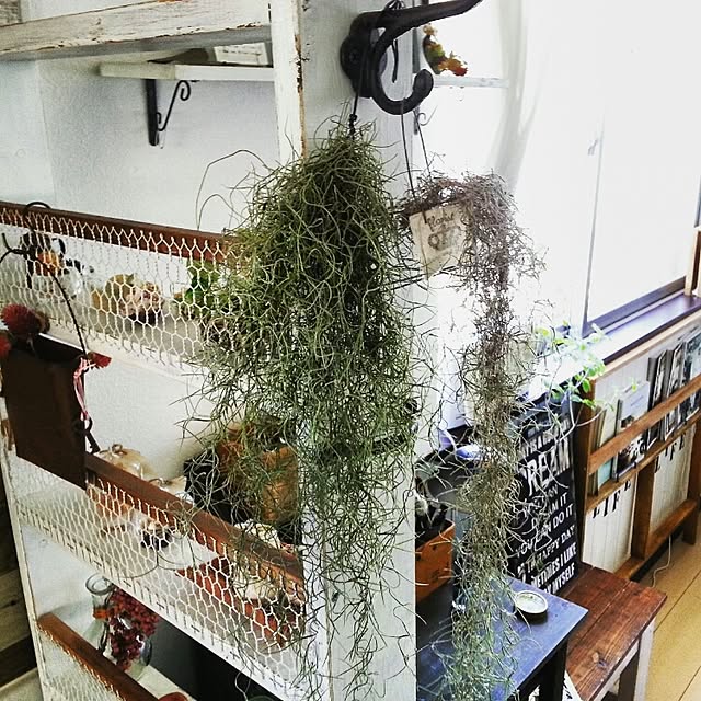 hiromi0302さんの実例写真