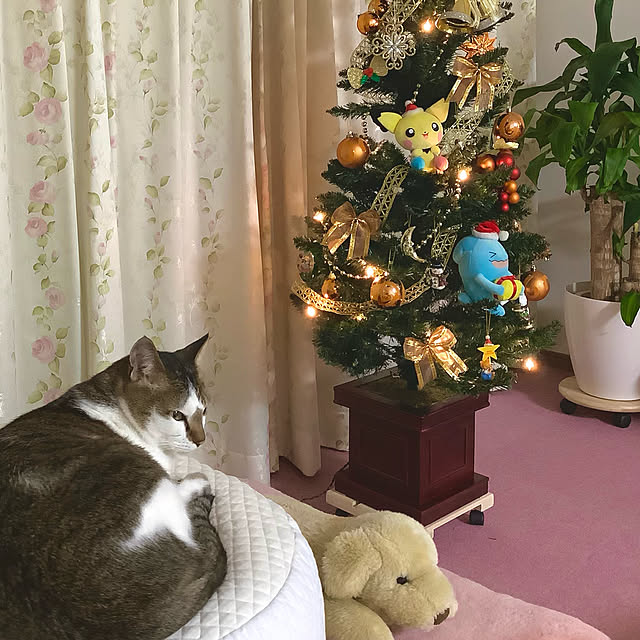 haruminさんの実例写真