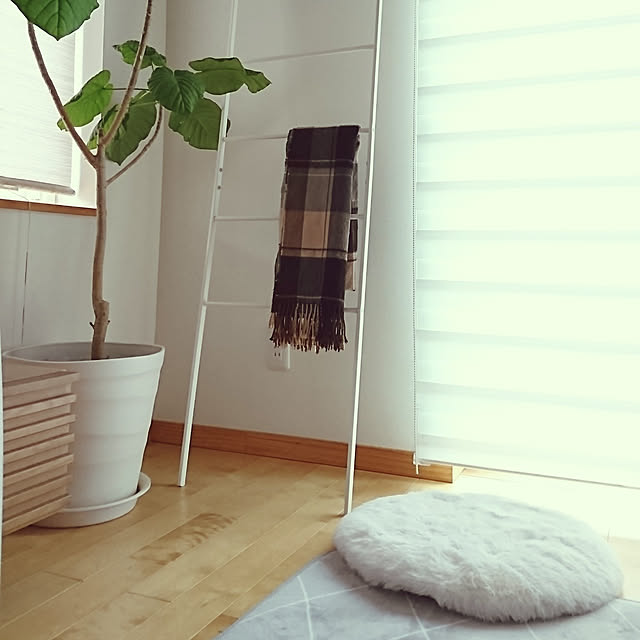 shirokumaさんの実例写真