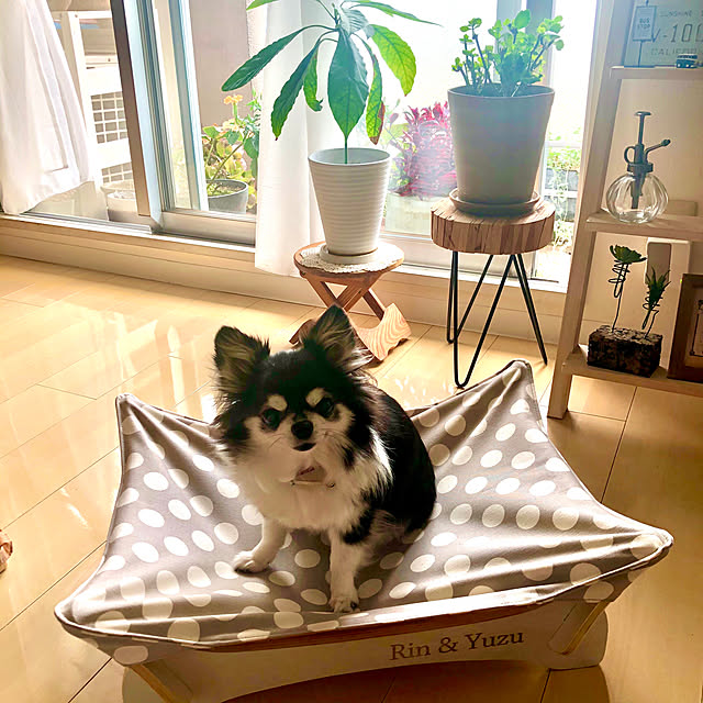 miyakoさんの実例写真