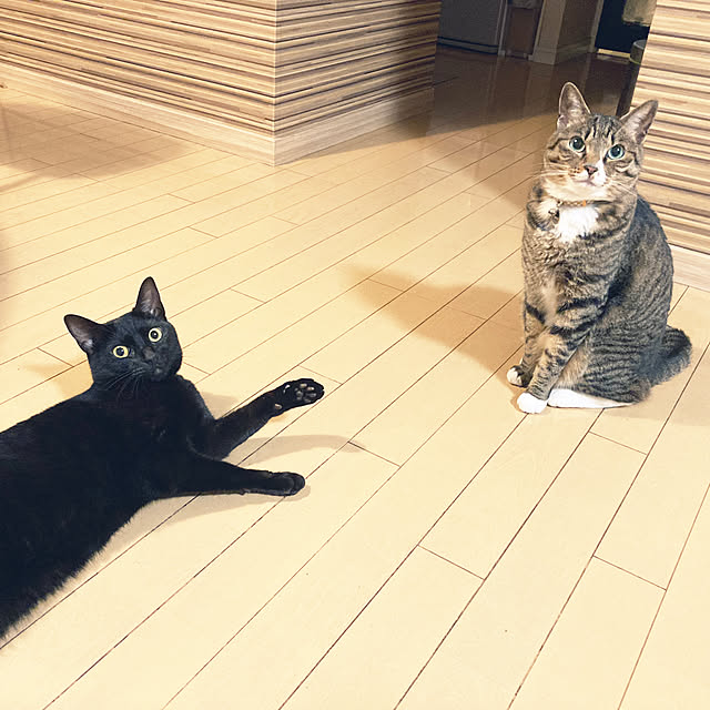 suemonta14さんの部屋