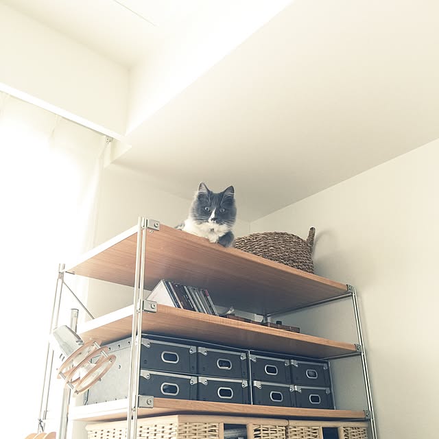 mangomilkさんの実例写真
