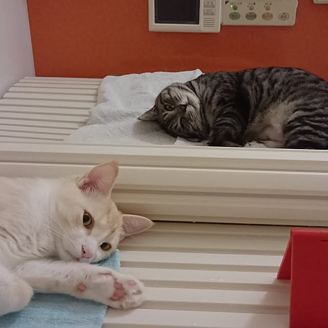 dkks-f777さんの実例写真