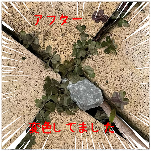 miyuさんの部屋