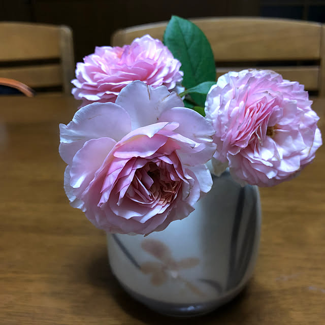 Pinさんの実例写真