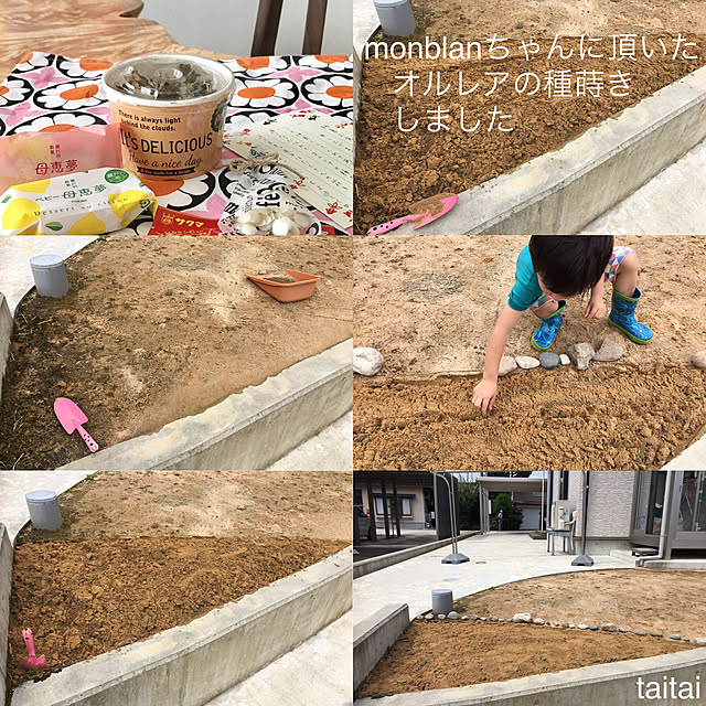 taitaiさんの実例写真