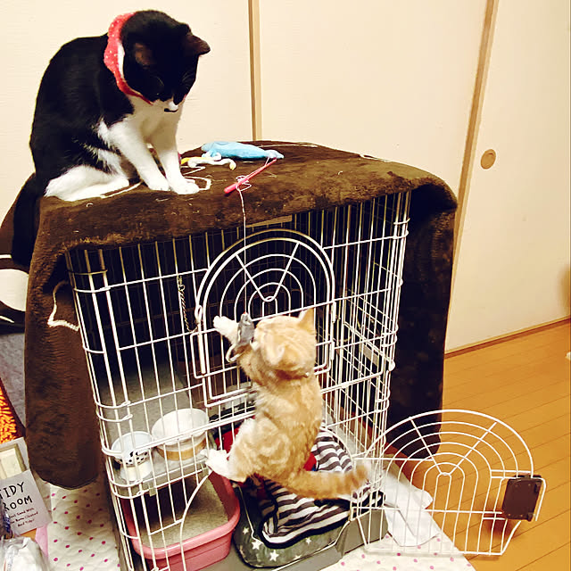 moolさんの実例写真