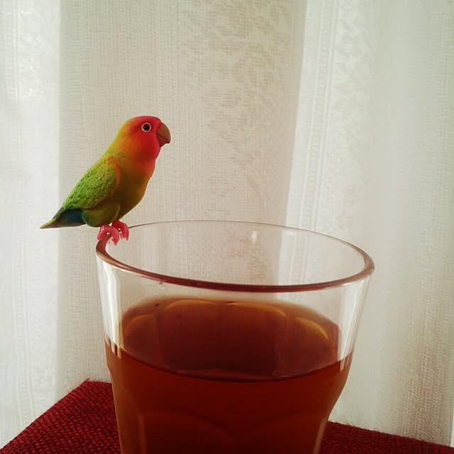 dotlaceさんの実例写真
