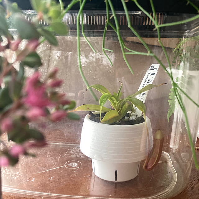 kaoriさんの部屋
