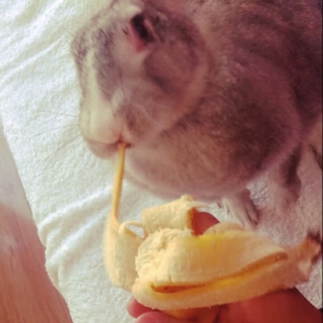 MARIさんの実例写真
