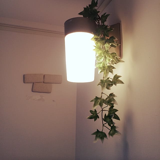 osakanaさんの実例写真