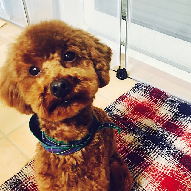 yokoko45さんの実例写真