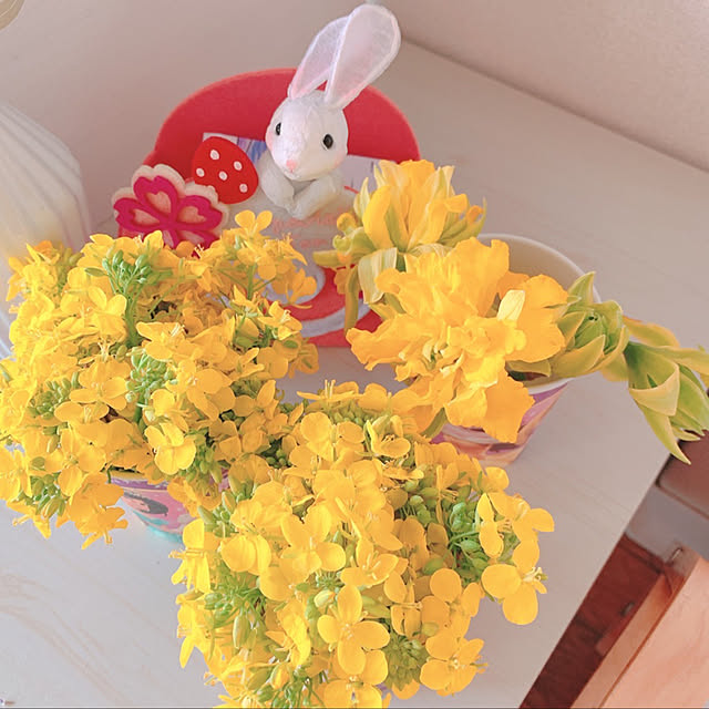 moco.nさんの実例写真