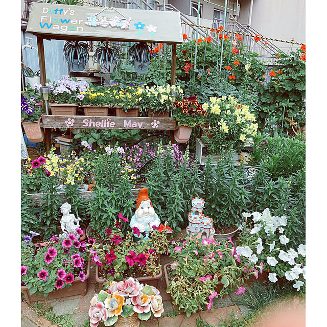 machakoさんの実例写真