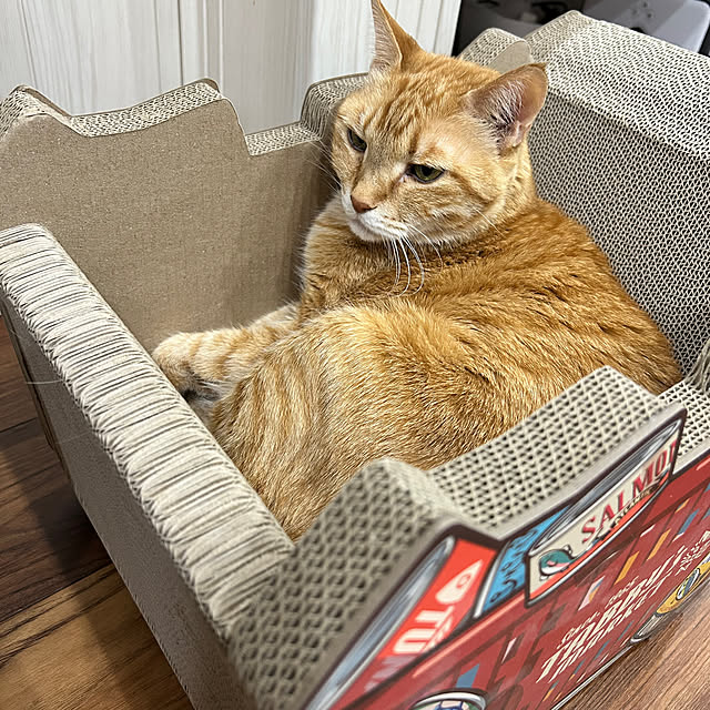 mikeume7さんの実例写真