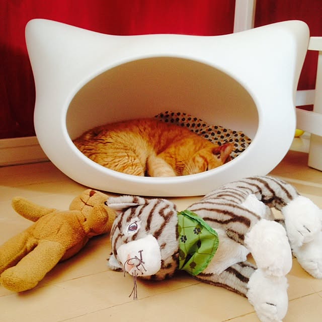kinakoribon.さんの実例写真