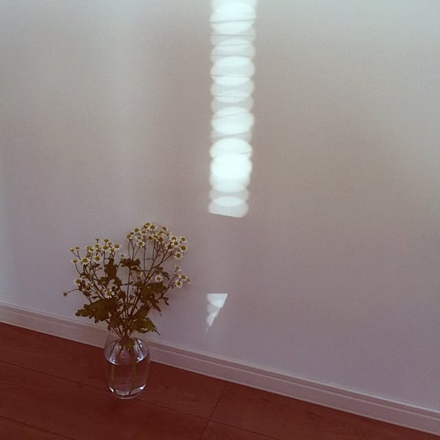 takkさんの実例写真