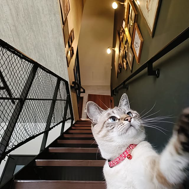 Atelier_tamakiさんの部屋