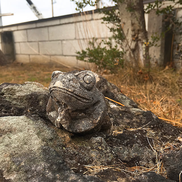 Nagakoさんの実例写真