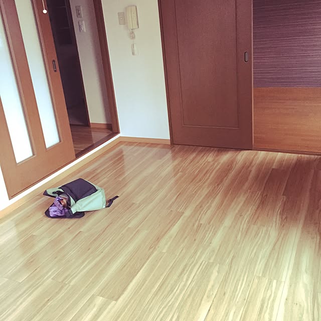 sophiaさんの実例写真