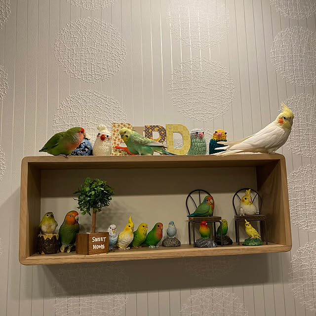 toratanさんの部屋