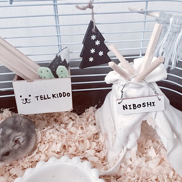chiiiii0808さんの実例写真