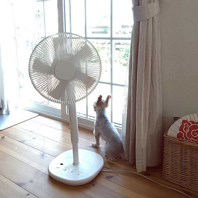 misacoさんの実例写真