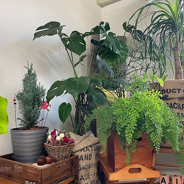 openaim2さんの部屋