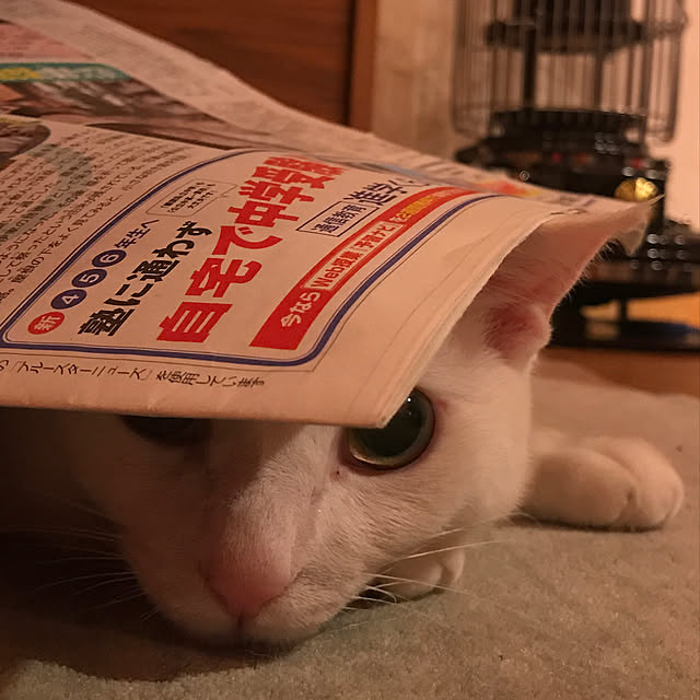 sakurasakuさんの実例写真