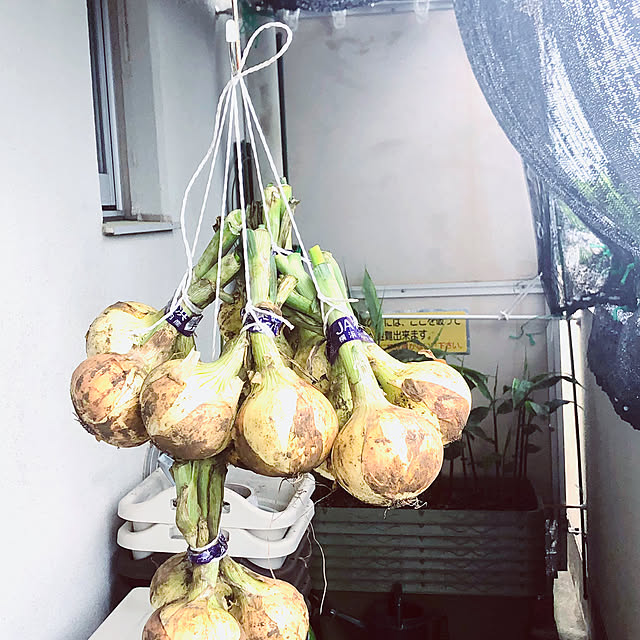 hanachanさんの実例写真