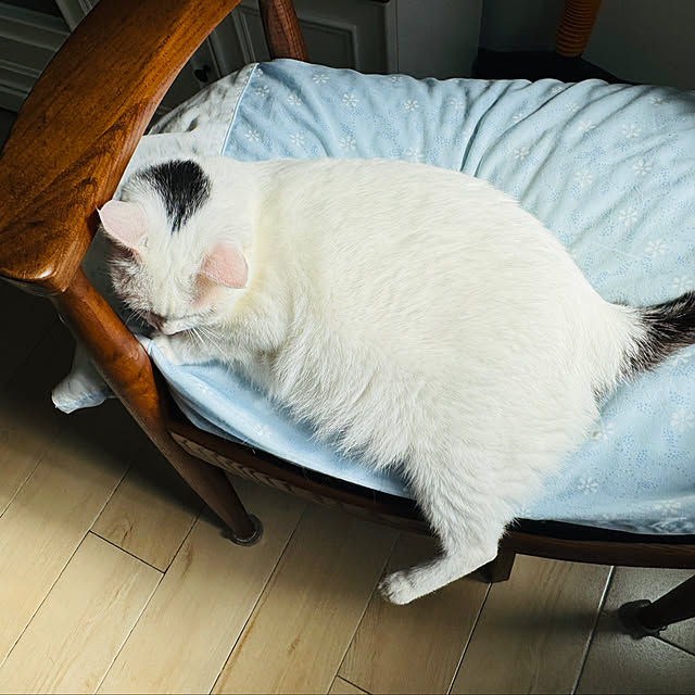 pcu110さんの部屋