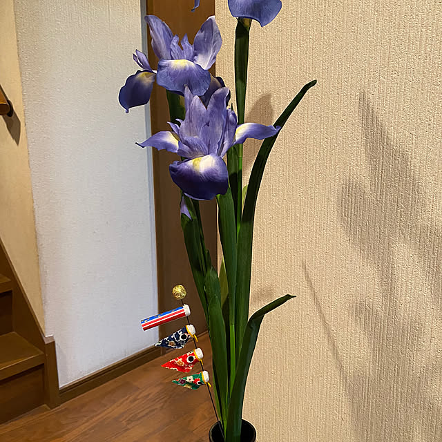 Mihoさんの部屋