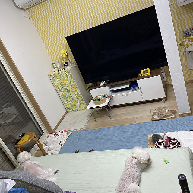 Annieさんの実例写真