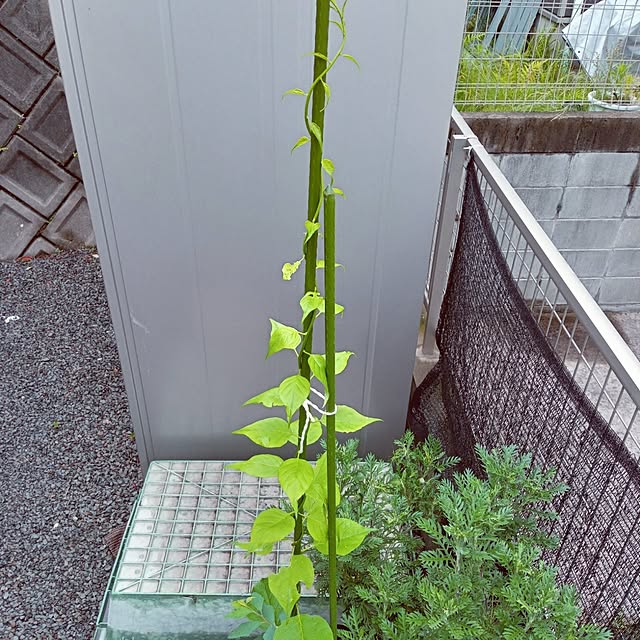 mocomocoさんの部屋