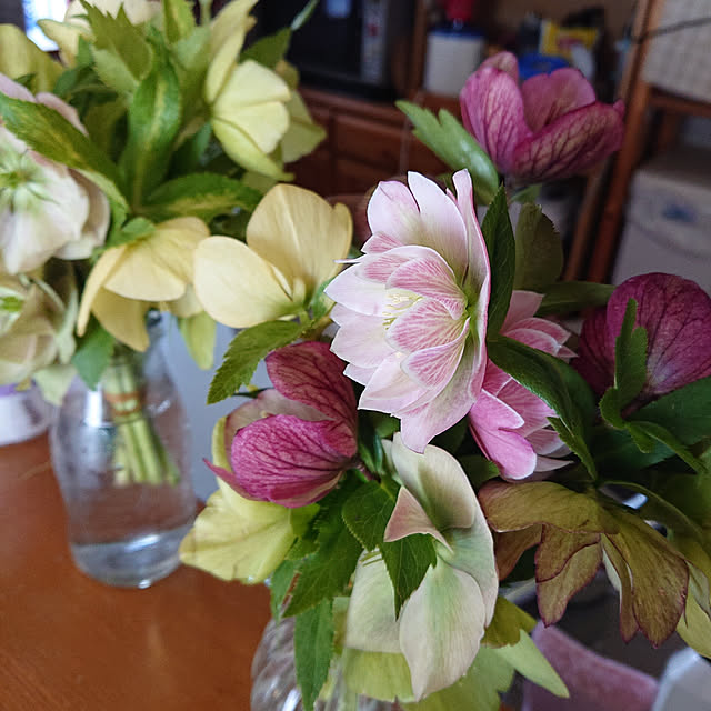 emiさんの実例写真