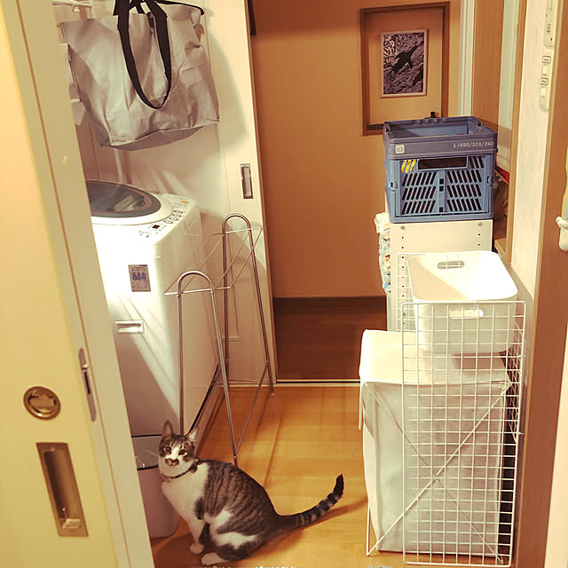 jijiさんの実例写真