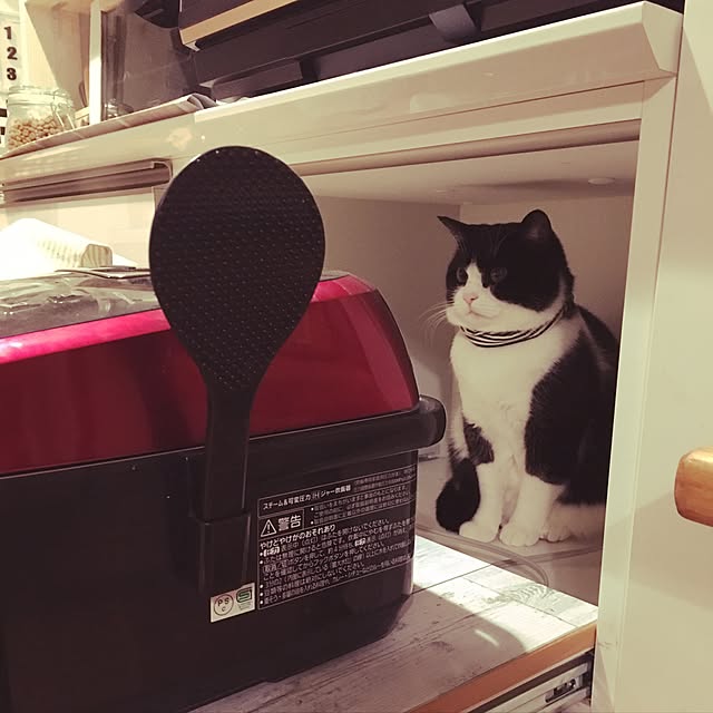 mametaroさんの実例写真