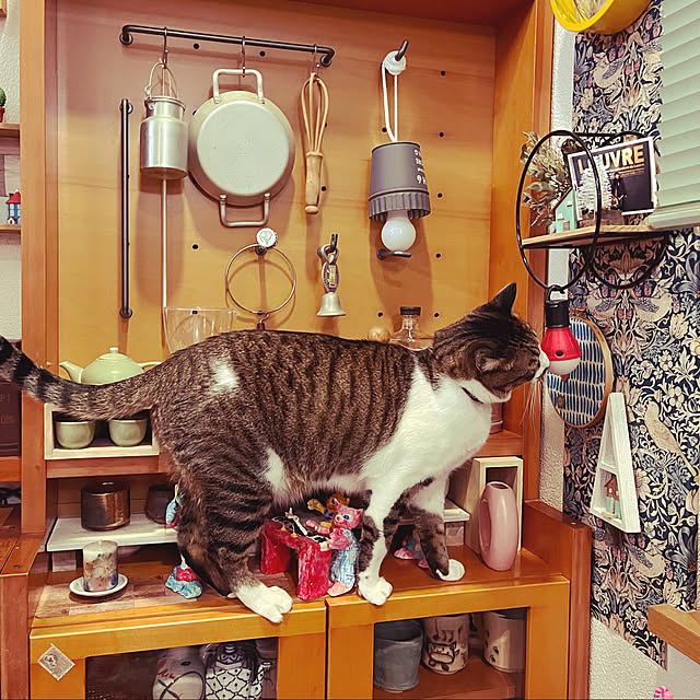 jijiさんの実例写真