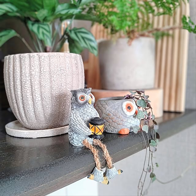 YuriYuriさんの部屋