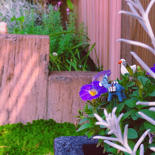 chacoさんの実例写真