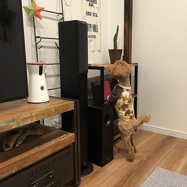 h-1o0さんの実例写真