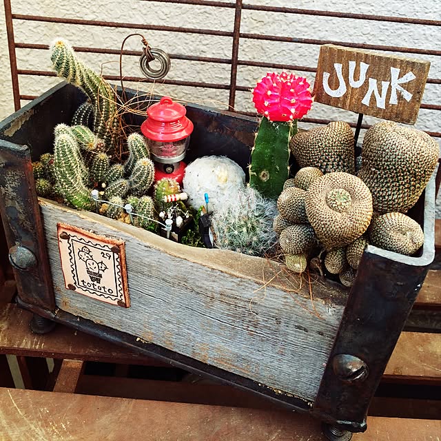 toplusさんの実例写真