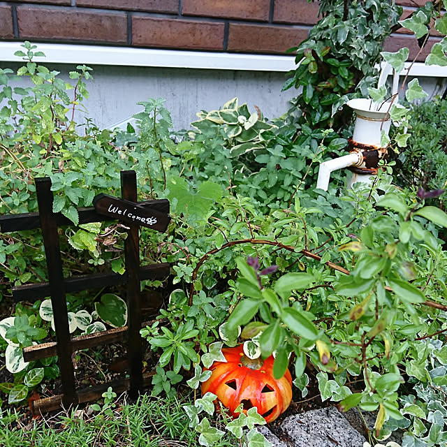 demetanさんの実例写真