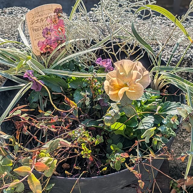 tototo..12.さんの部屋